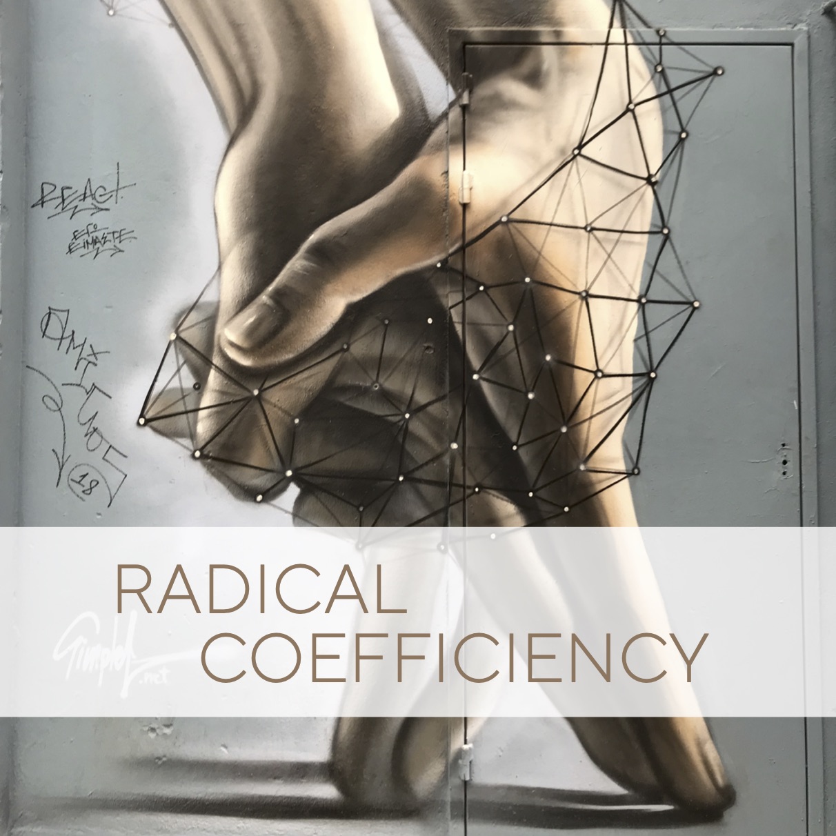 Radical Coefficiency (New Work Radicalism #2)